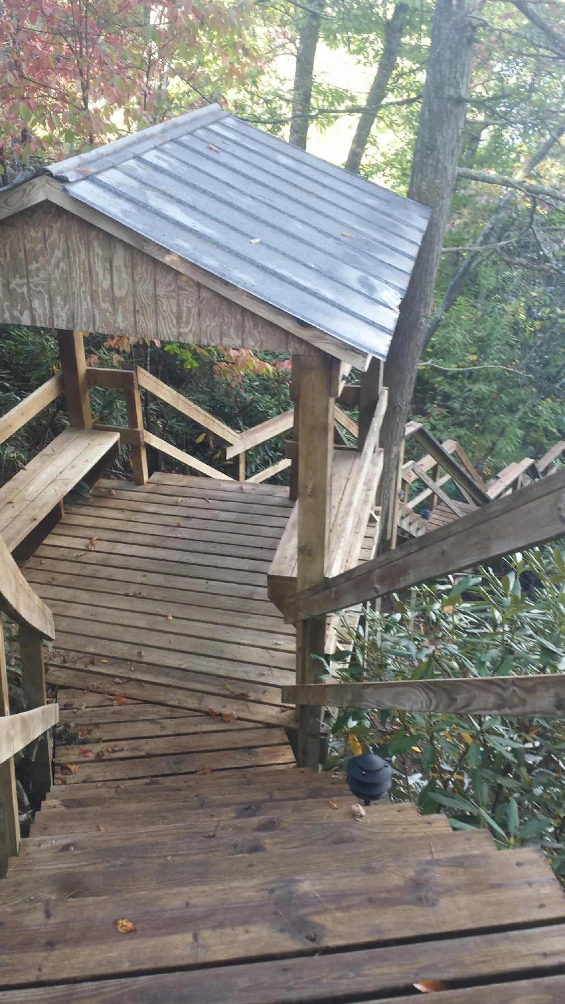 Metal roofed shelter over wooden steps on a wooded walkway in Belle Plaine